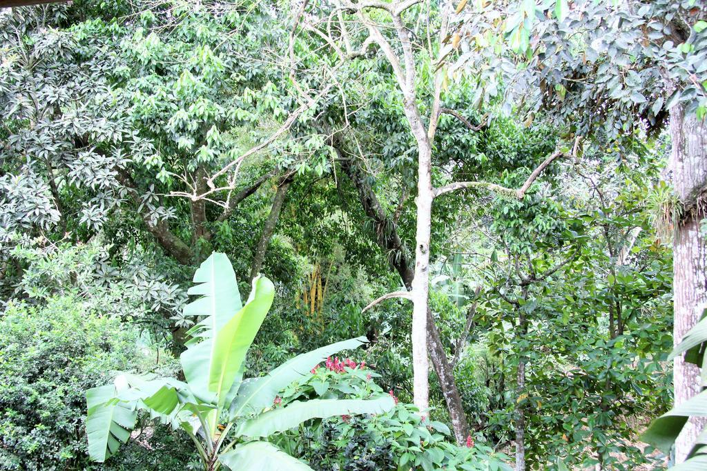 Hotel Monte Real La Fortuna Exteriér fotografie